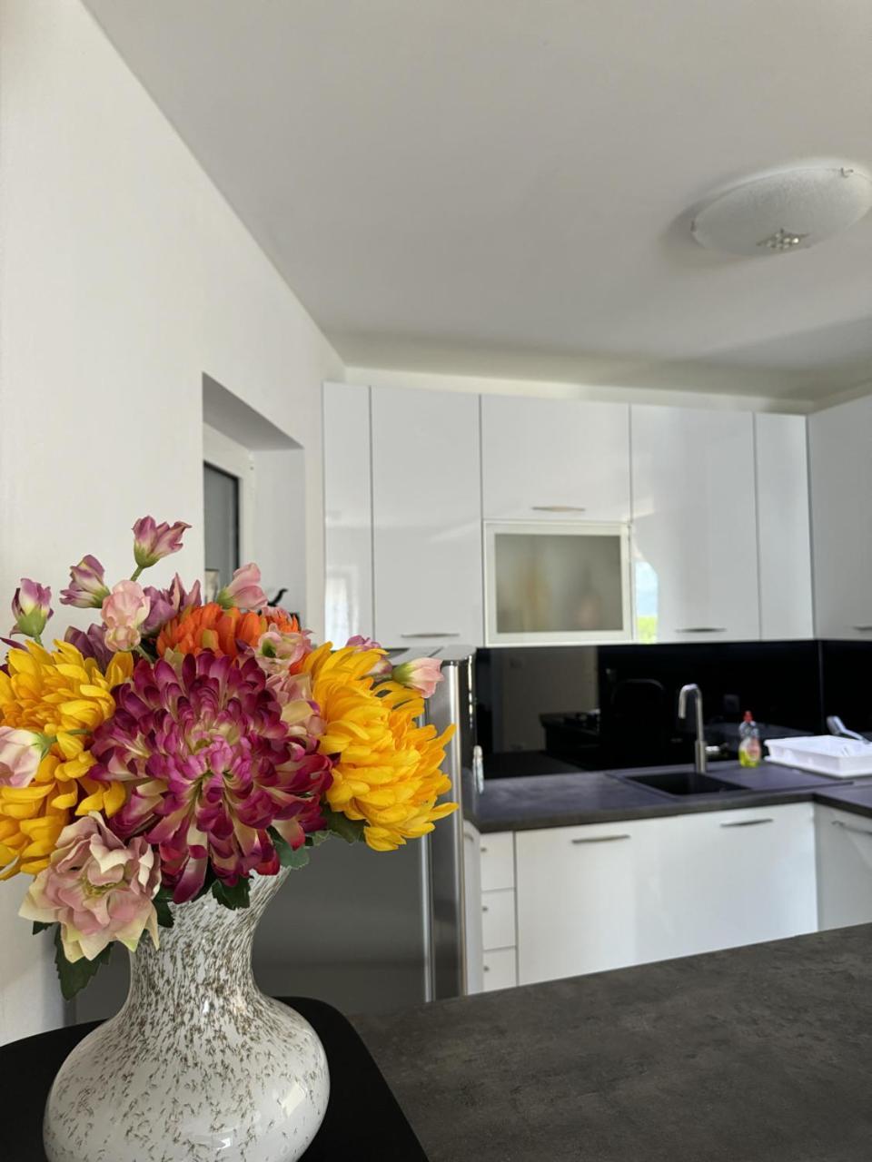 Apartament Heart Of Stone Tulisevica Zewnętrze zdjęcie